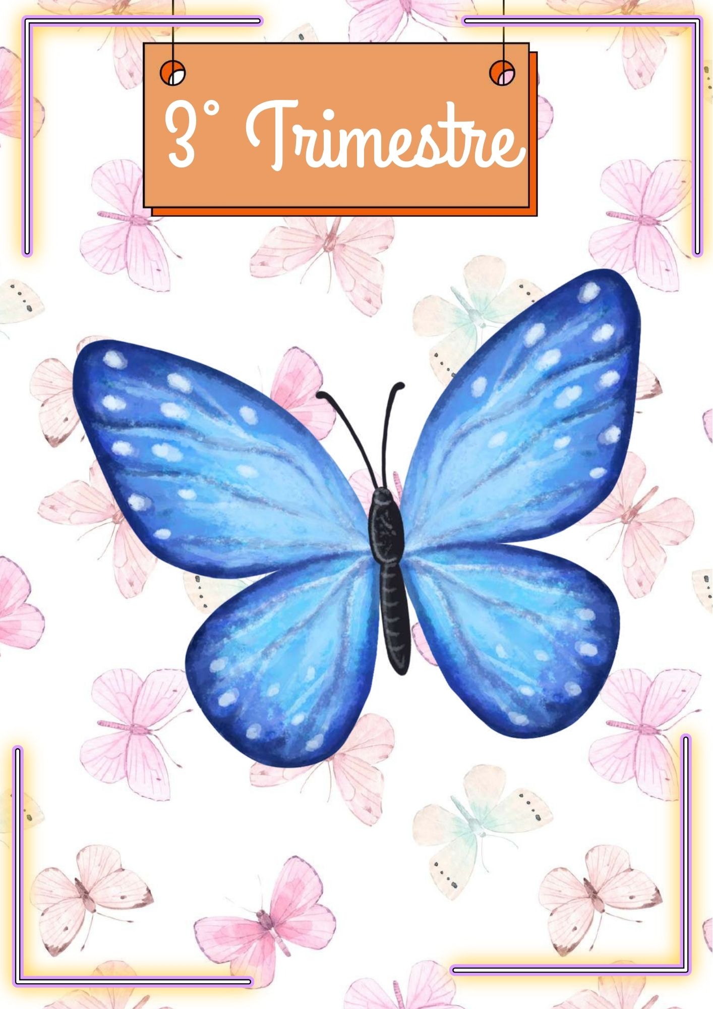 PLANNER DA PROFESSORA 2026 BORBOLETAS - Imagem 24